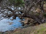 20110903-IMG 6766