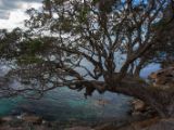 20110903-IMG 6768