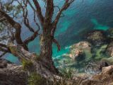 20110903-IMG 6773