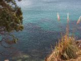 20110903-IMG 6776
