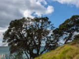 20110903-IMG 6777
