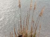 20110903-IMG 6778