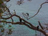 20110903-IMG 6779