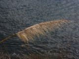 20110903-IMG 6780