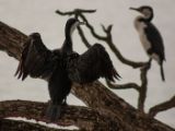 20110903-IMG 6784