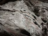 20110903-IMG 6794