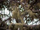 20110903-IMG 6796