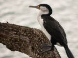 20110903-IMG 6797