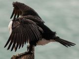 20110903-IMG 6815