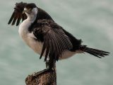20110903-IMG 6816