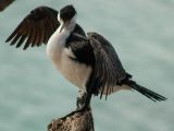 20110903-IMG 6819