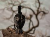 20110903-IMG 6831