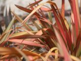 20110903-IMG 6850