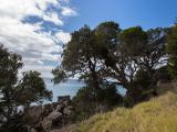 20110903-IMG 6856