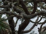 20110903-IMG 6858