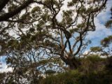 20110903-IMG 6870