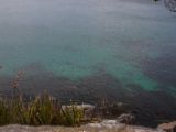 20110903-IMG 6876