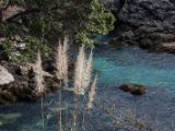 20110903-IMG 6879