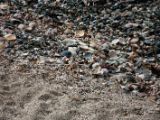 20110903-IMG 6885