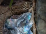 20110903-IMG 6891