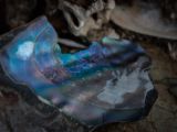 20110903-IMG 6894