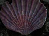 20110903-IMG 6897