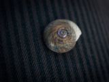 20110903-IMG 6899