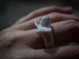 20110903-IMG 6901