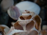 20110903-IMG 6907