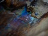 20110903-IMG 6908