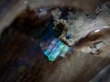 20110903-IMG 6909