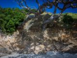 20110903-IMG 6911