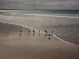 20110903-IMG 6924