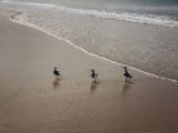 20110903-IMG 6926