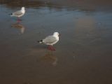 20110903-IMG 6930