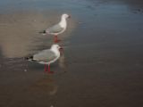 20110903-IMG 6932