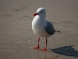 20110903-IMG 6933