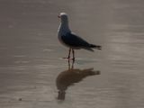 20110903-IMG 6938