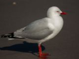 20110903-IMG 6940