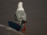 20110903-IMG 6941