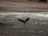 20110903-IMG 6943