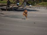 20110903-IMG 6945
