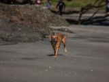 20110903-IMG 6946