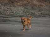 20110903-IMG 6947