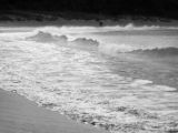 20110904-IMG 7015