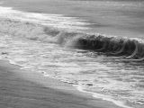 20110904-IMG 7017