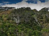 20110904-IMG 7073