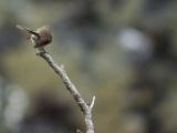 20110904-IMG 7088
