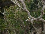 20110904-IMG 7098