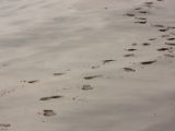 20110904-IMG 7124